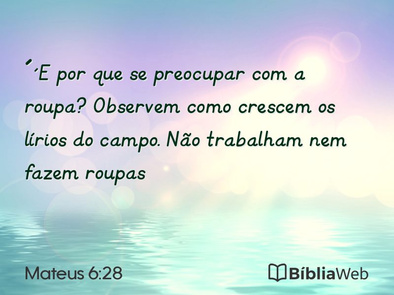 Mateus 6:28 em imagem para compartilhar