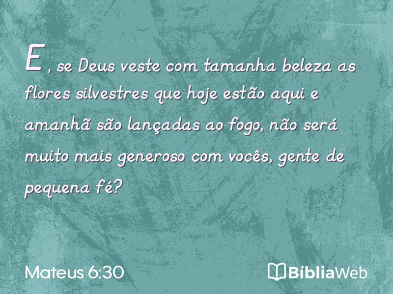 Mateus 6:30 em imagem para compartilhar