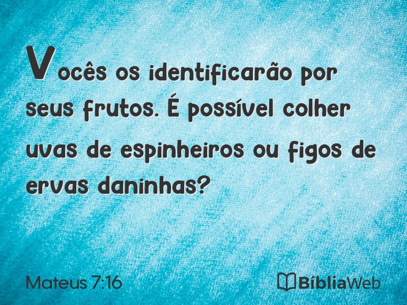 Mateus 7:16 em imagem para compartilhar