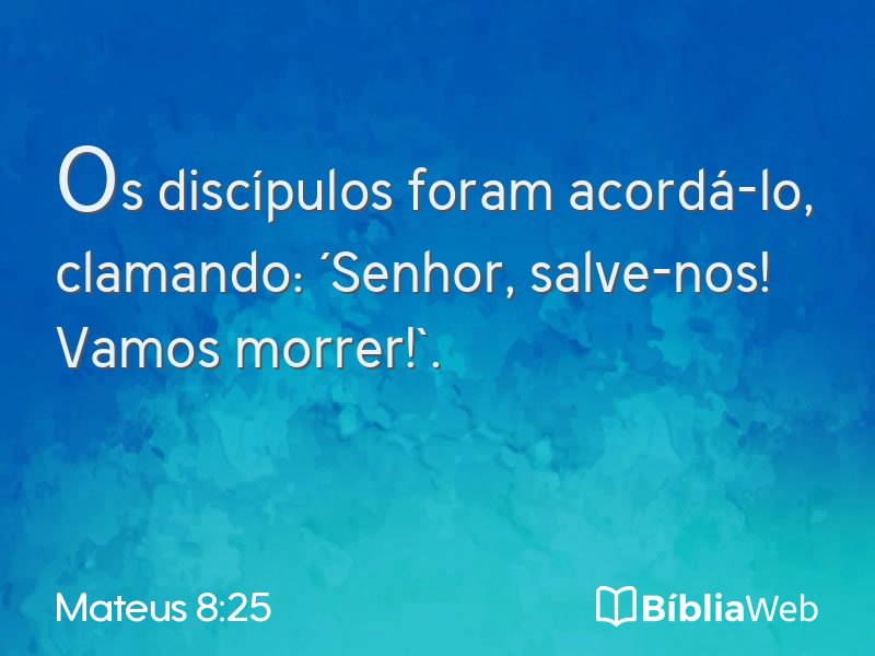 Mateus 8:25 em imagem para compartilhar