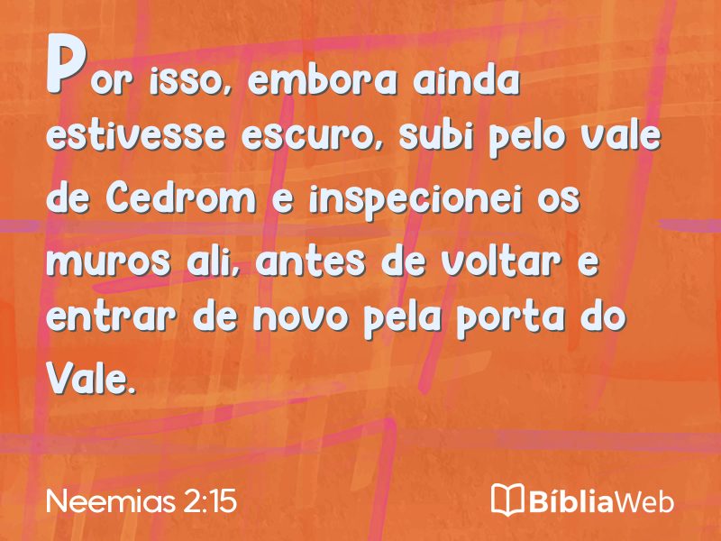 Neemias 2:15 em imagem para compartilhar