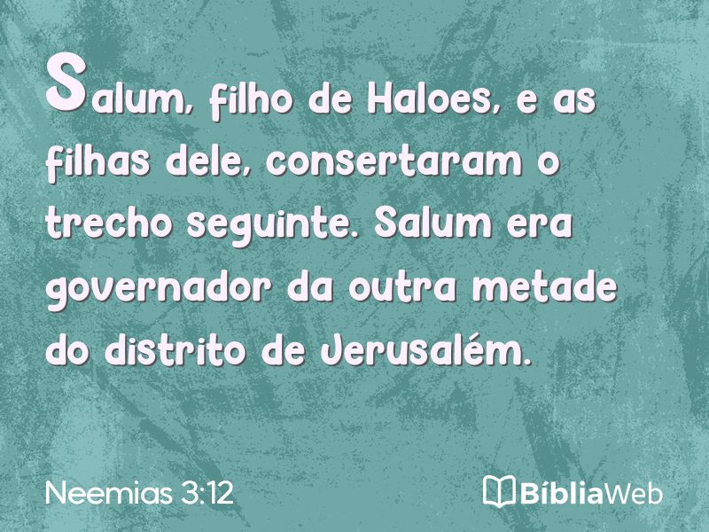 Neemias 3:12 em imagem para compartilhar