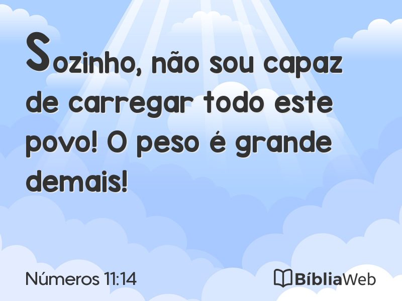 Números 11:14 em imagem para compartilhar