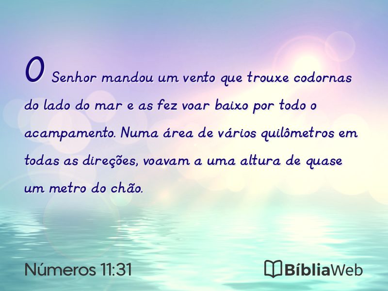 Números 11:31 em imagem para compartilhar