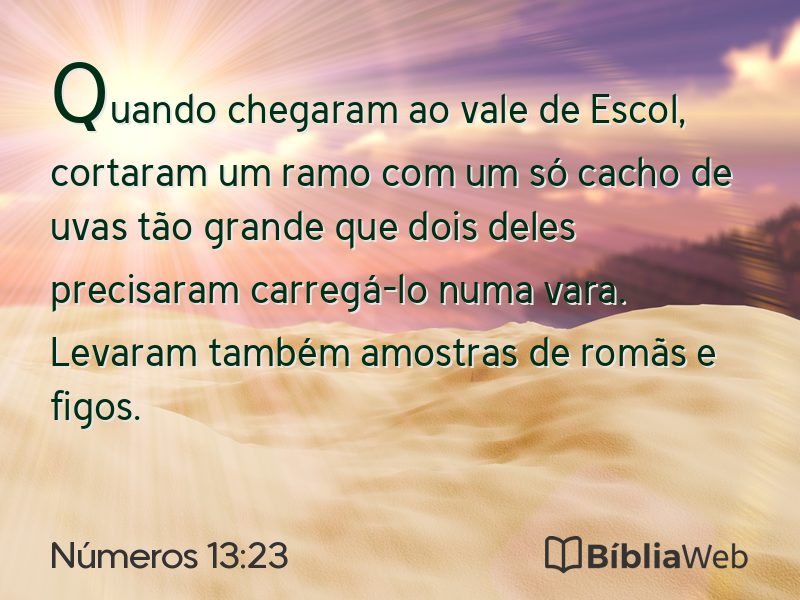 Números 13:23 em imagem para compartilhar