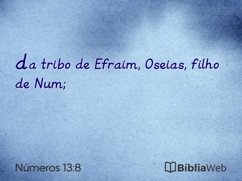 Números 13:8 em imagem para compartilhar