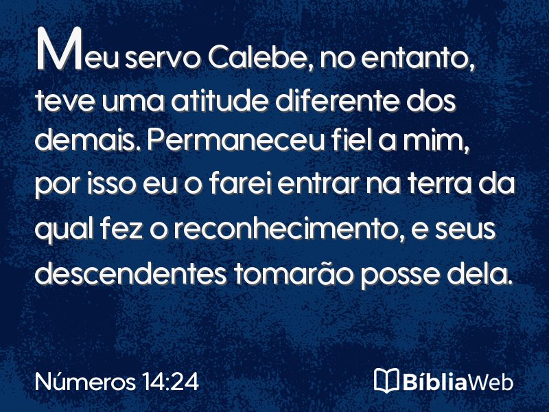 Números 14:24 em imagem para compartilhar