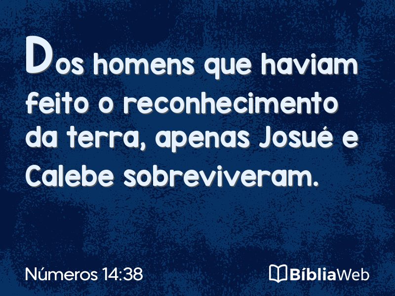 Números 14:38 em imagem para compartilhar