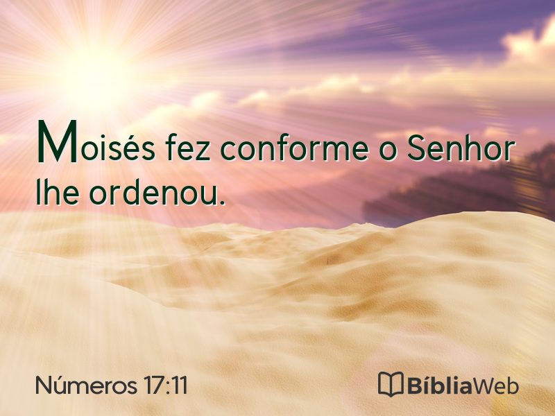 Números 17:11 em imagem para compartilhar