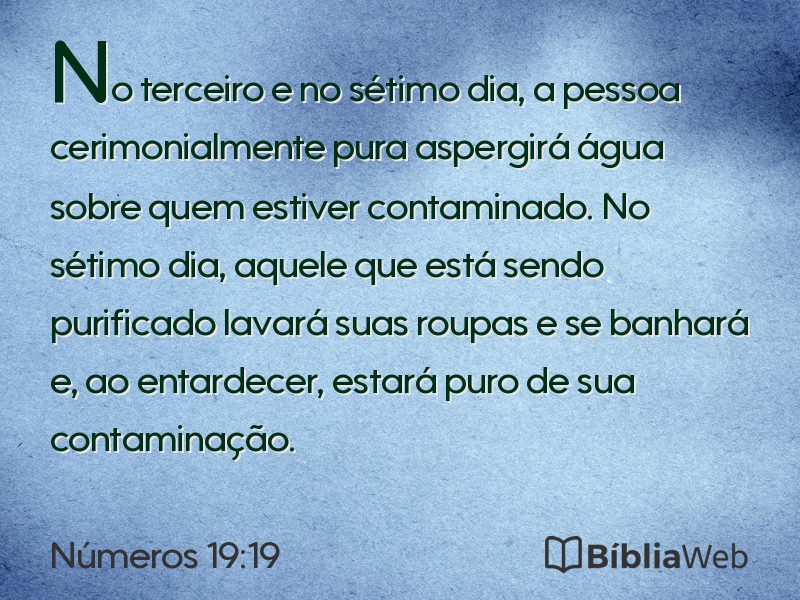 Números 19:19 em imagem para compartilhar