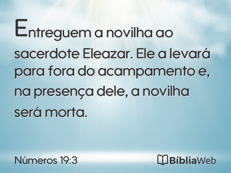 Números 19:3 em imagem para compartilhar
