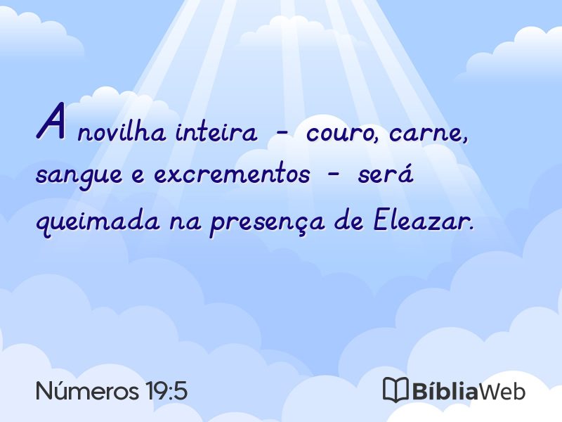 Números 19:5 em imagem para compartilhar