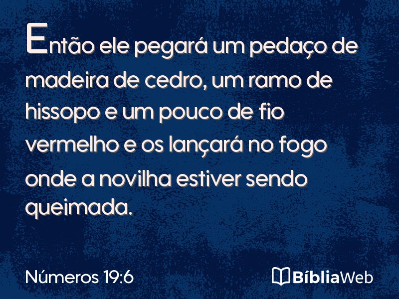 Números 19:6 em imagem para compartilhar