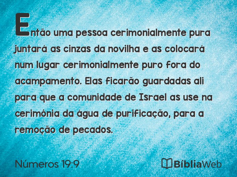 Números 19:9 em imagem para compartilhar