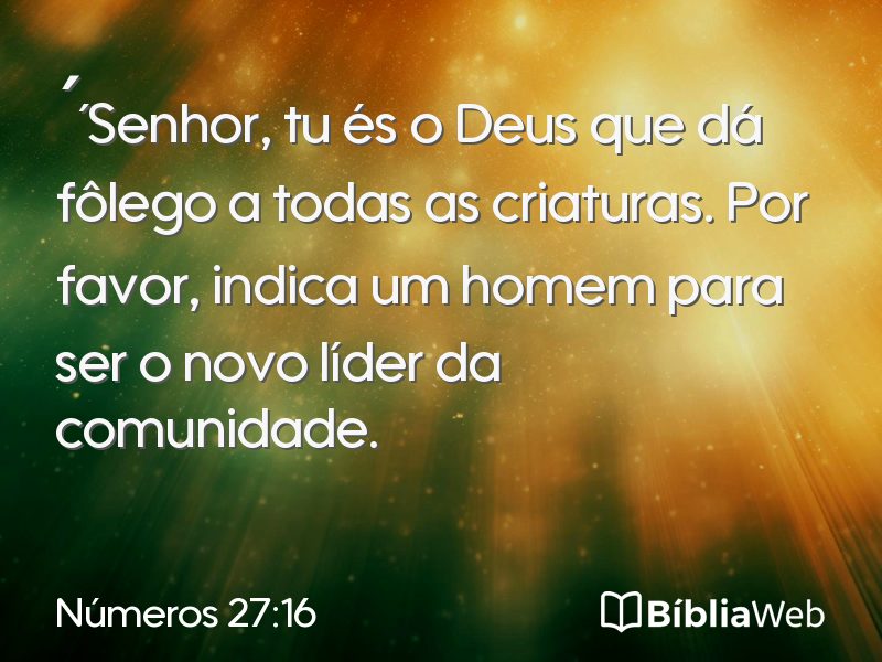Números 27:16 em imagem para compartilhar