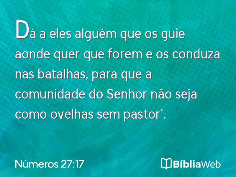 Números 27:17 em imagem para compartilhar