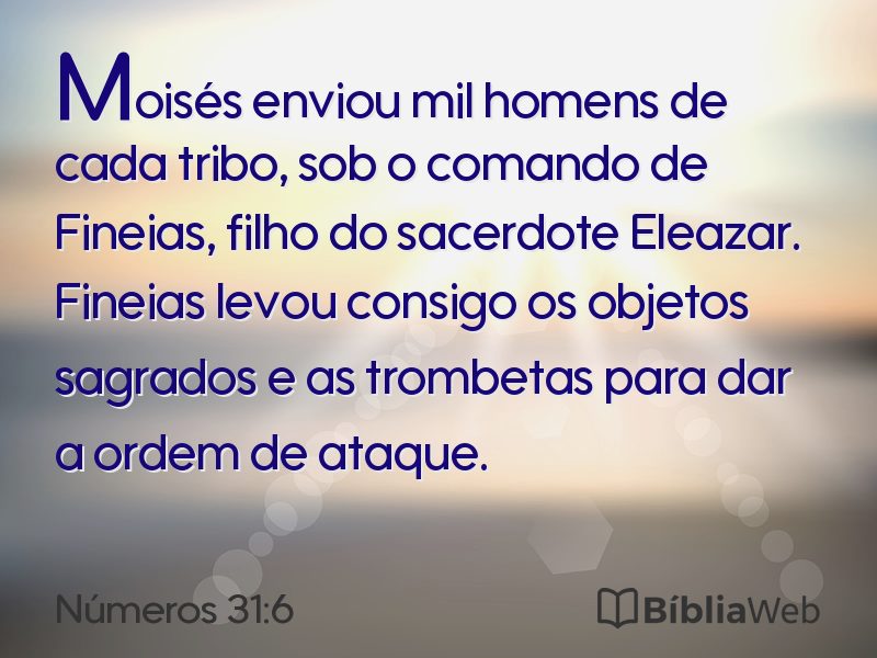 Números 31:6 em imagem para compartilhar
