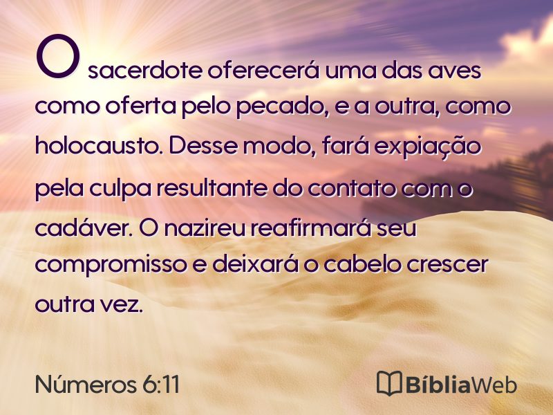 Números 6:11 em imagem para compartilhar