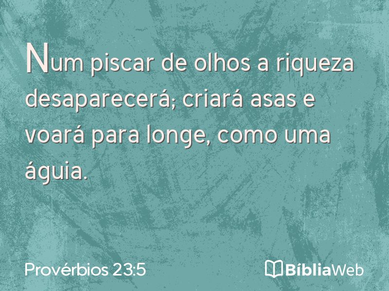 Provérbios 23:5 em imagem para compartilhar