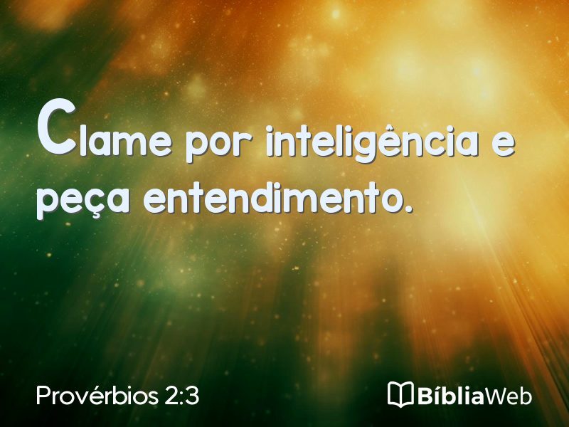 Provérbios 2:3 em imagem para compartilhar