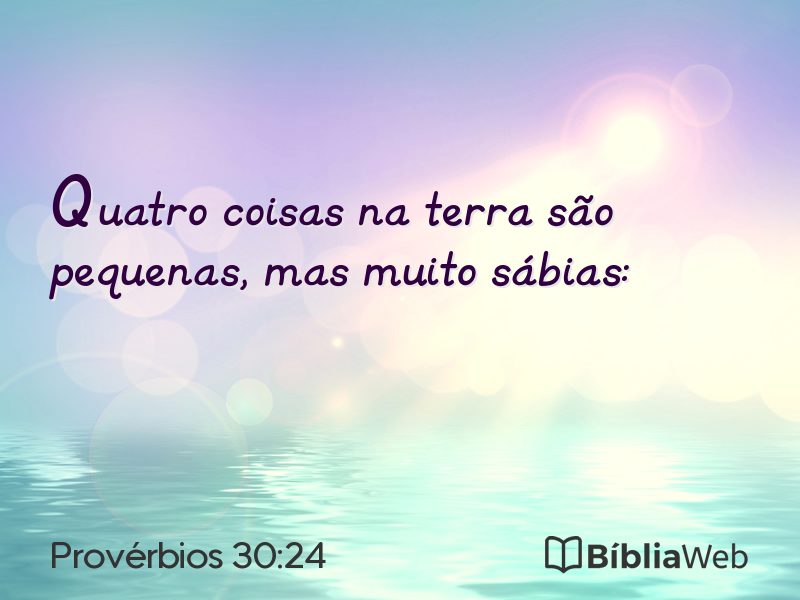 Provérbios 30:24 em imagem para compartilhar