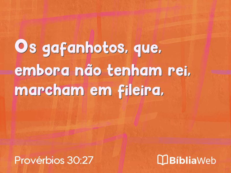 Provérbios 30:27 em imagem para compartilhar