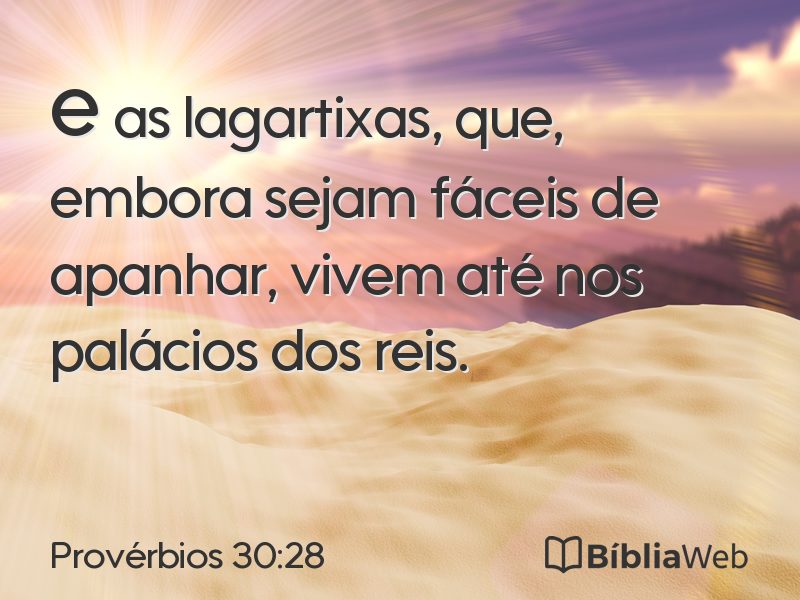 Provérbios 30:28 em imagem para compartilhar