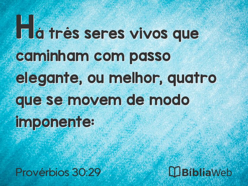 Provérbios 30:29 em imagem para compartilhar