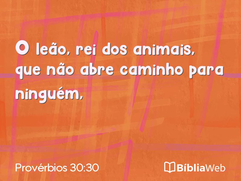 Provérbios 30:30 em imagem para compartilhar