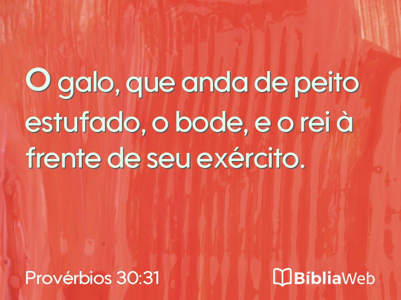 Provérbios 30:31 em imagem para compartilhar