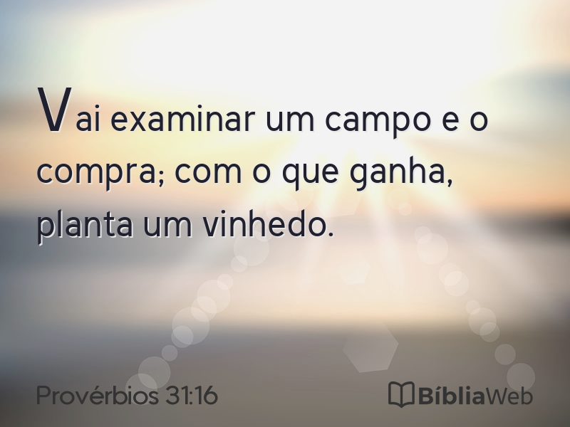 Provérbios 31:16 em imagem para compartilhar