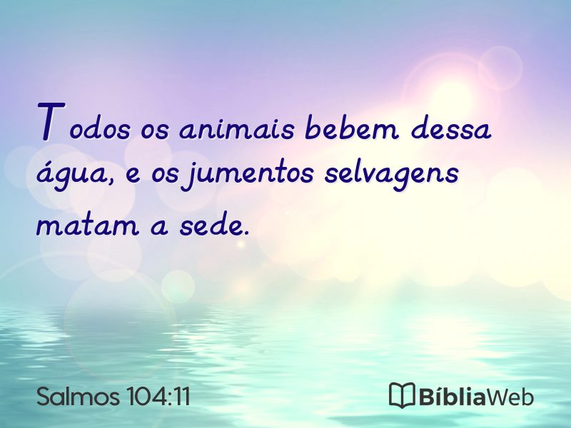 Salmos 104:11 em imagem para compartilhar