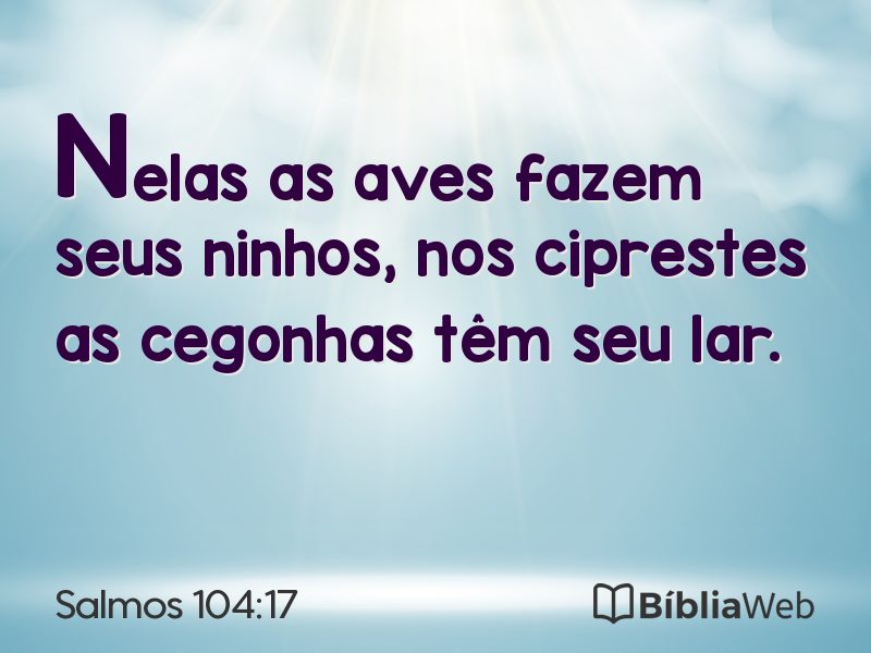 Salmos 104:17 em imagem para compartilhar