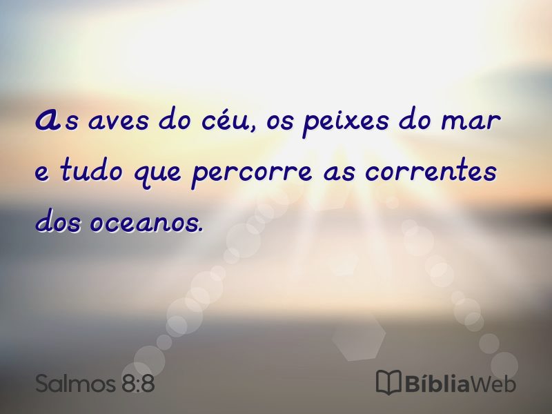 Salmos 8:8 em imagem para compartilhar
