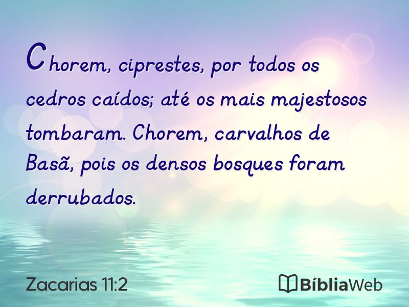 Zacarias 11:2 em imagem para compartilhar